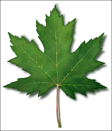 gmtest-leaf2.png