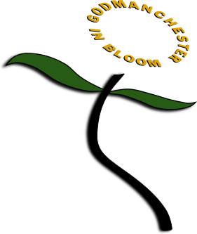 yellow.png