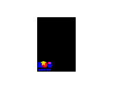 NEW_SHOPIFY.PNG